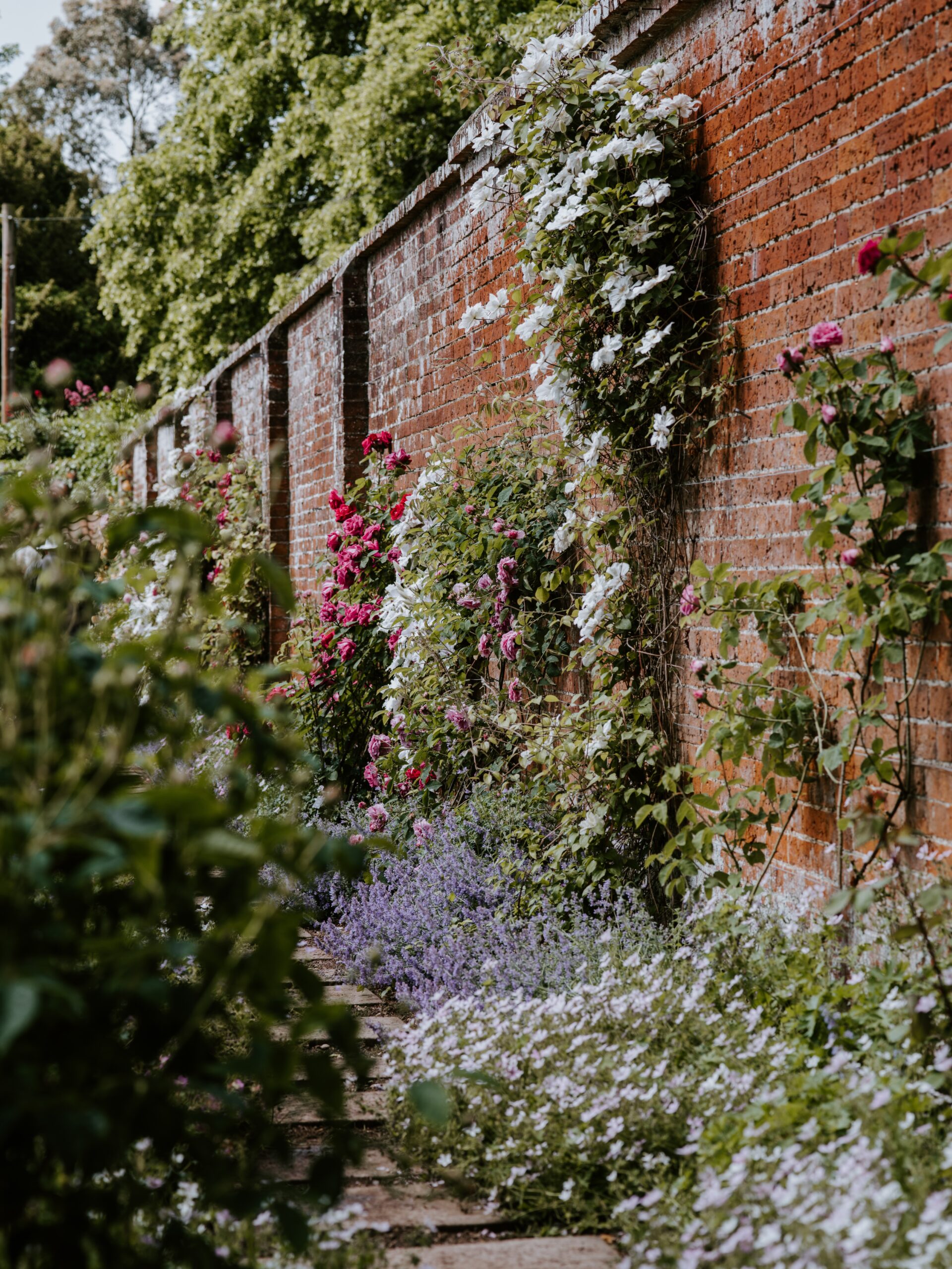 Hauteur des arbres et des plantations