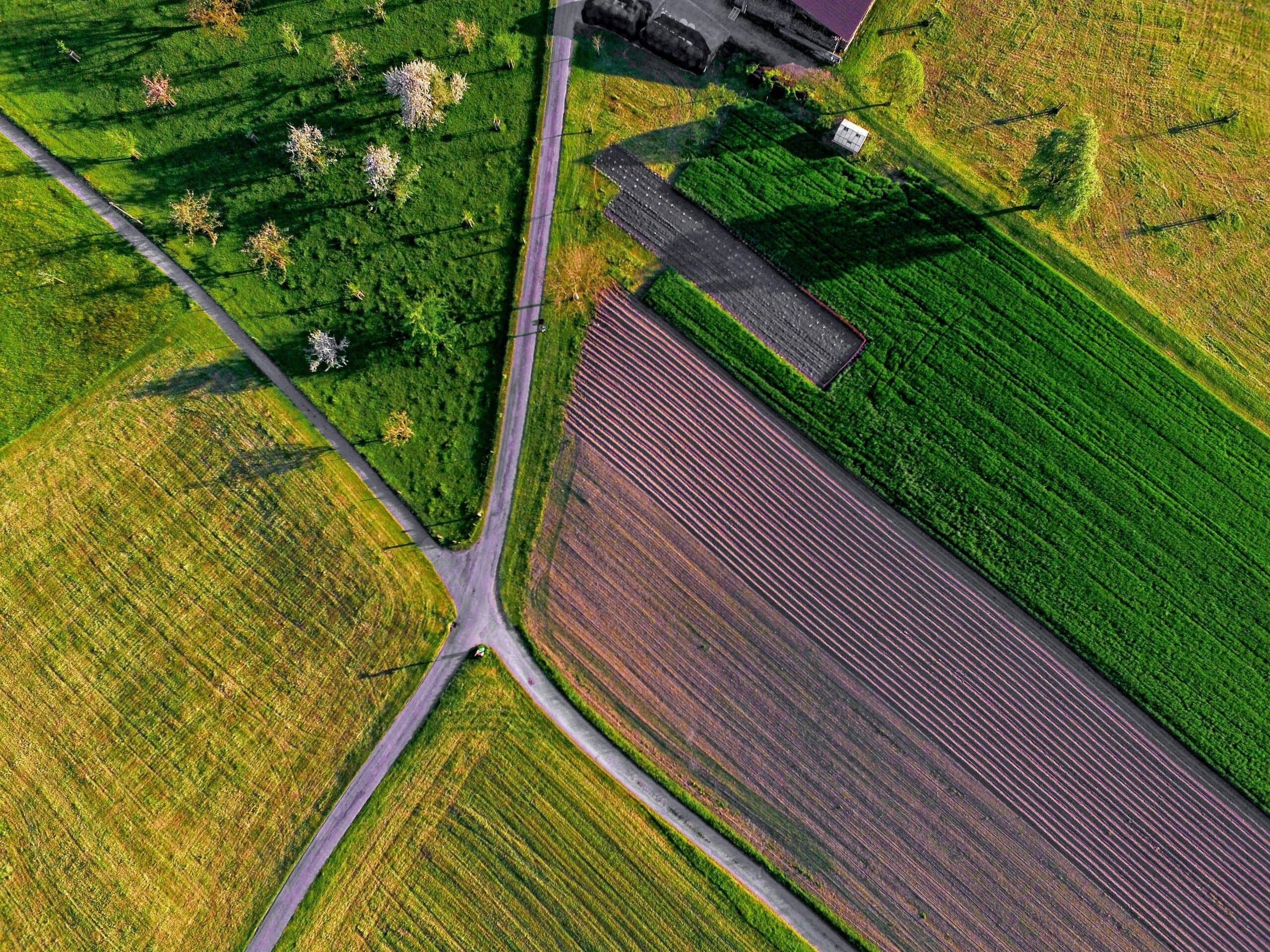 Lire la suite à propos de l’article Stratégies de vente immobilière : comment gérer le droit de préemption lorsque le fonds comprend à la fois des biens soumis et non soumis à bail rural ?