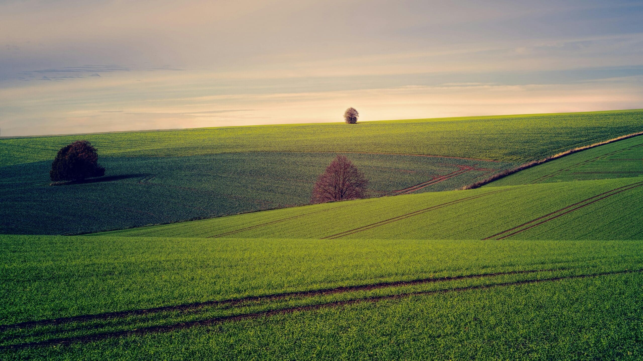 Lire la suite à propos de l’article Bail verbal : mise en œuvre de la clause de reprise sexennale pour les terres agricoles situées dans la région d’Arras