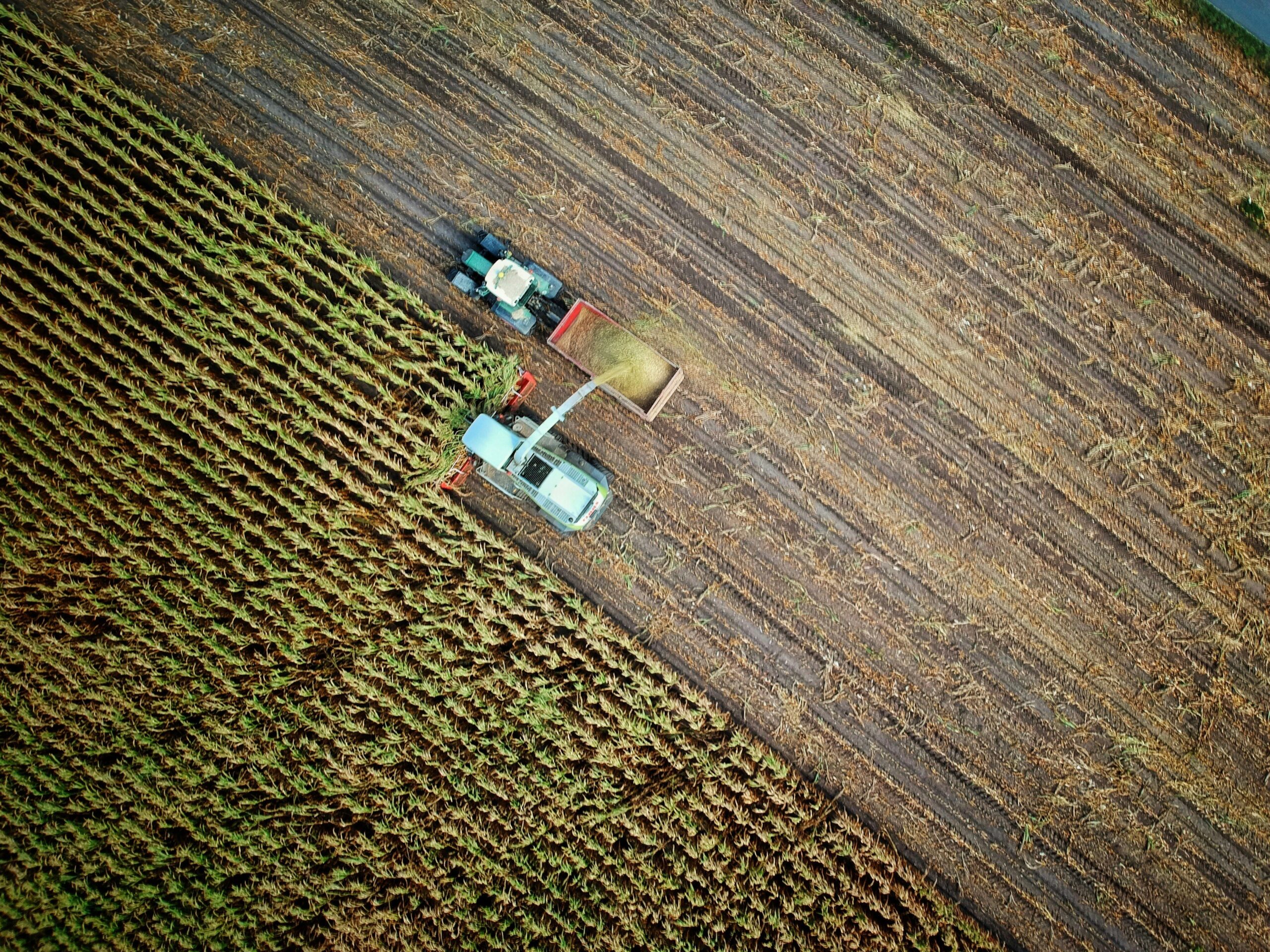 Associer un conjoint au bail rural, les précisions de la Cour de cassation dans son arrêt du 11 juillet 2024