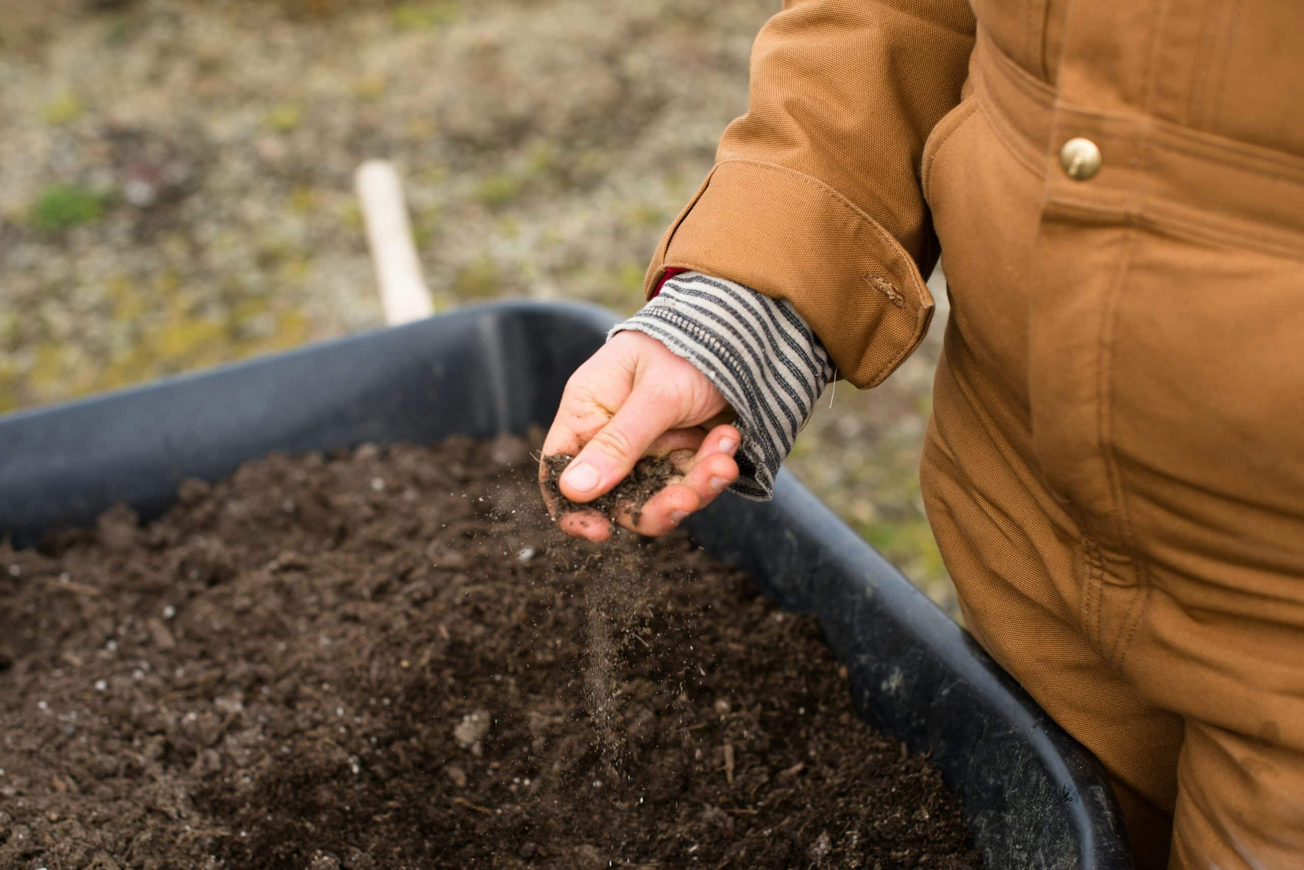 Lire la suite à propos de l’article Créance de salaire différé agricole : les conditions essentielles