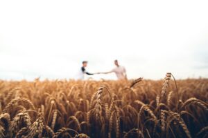 Lire la suite à propos de l’article Capacité agricole