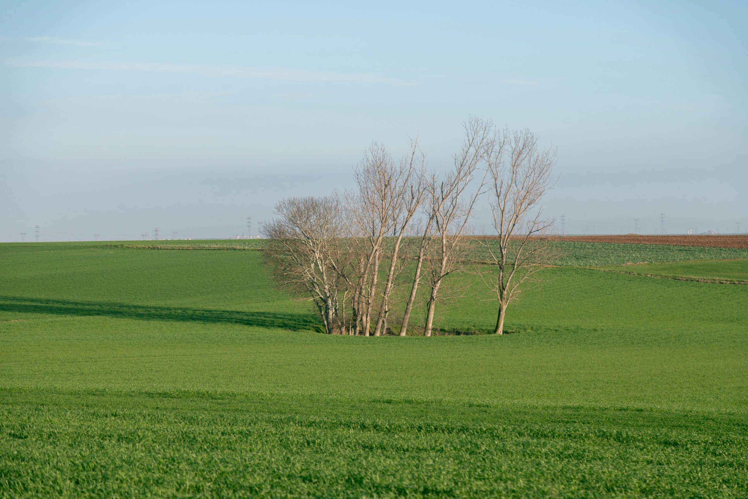L’arrêté des fermages dans le Nord : révision 2024 et conséquences pratiques