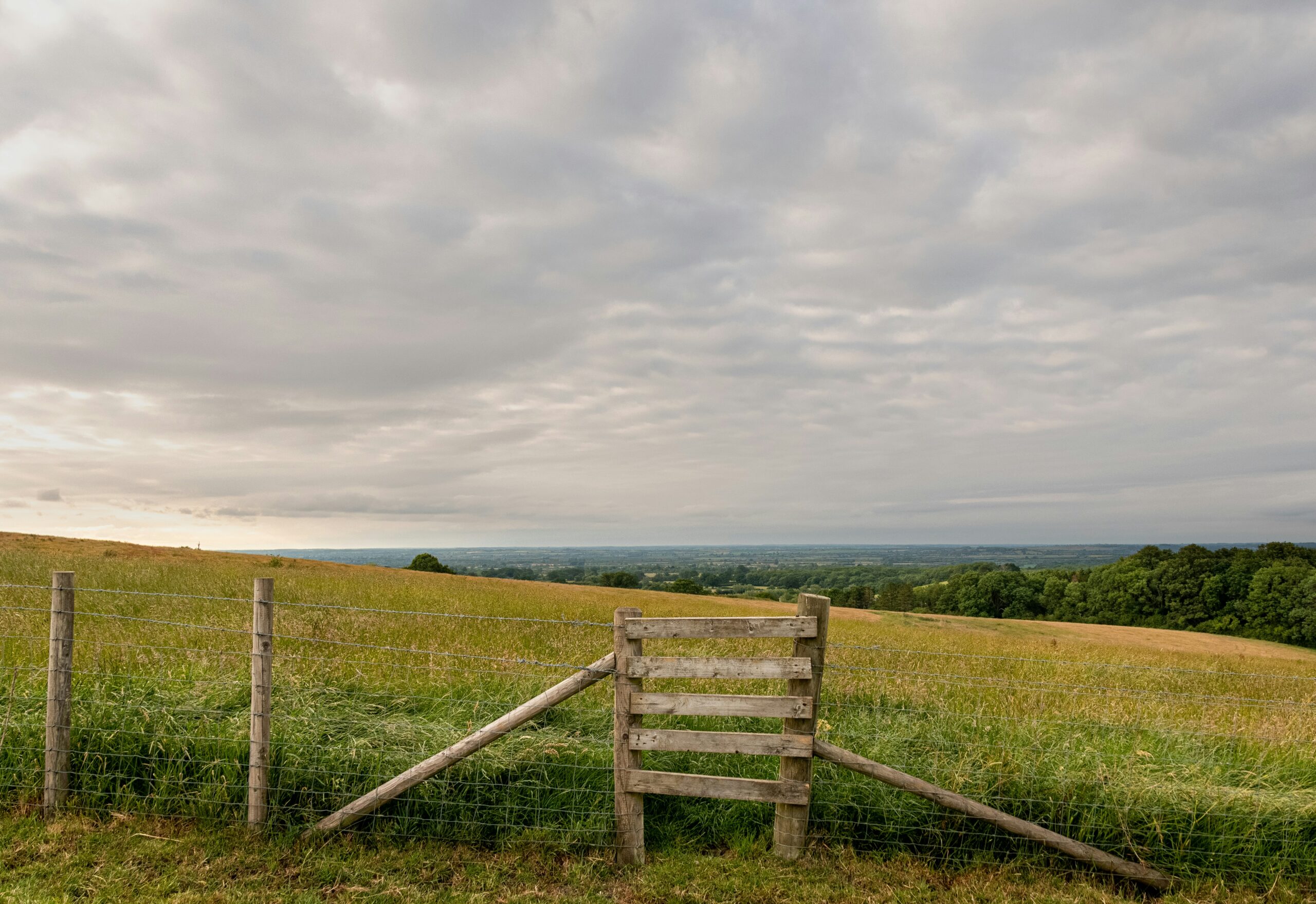 Expulsion et indivision des terres agricoles : limites de l’action d’un indivisaire