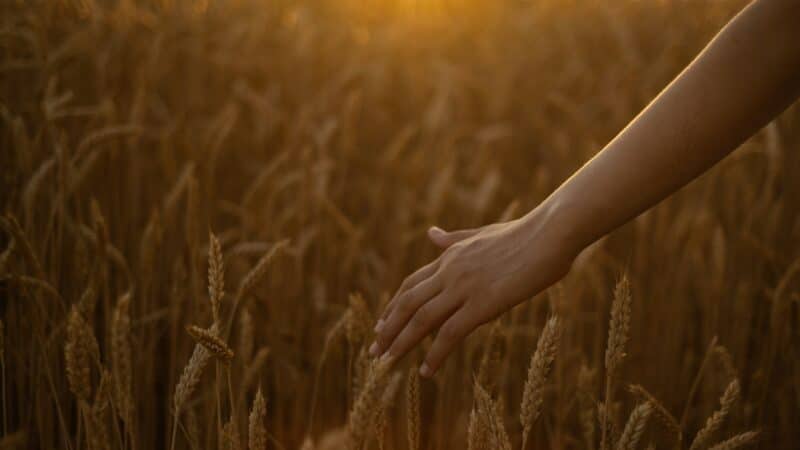 conciliation demande nouvelle