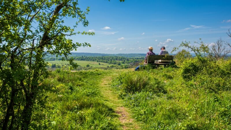 retraité, retraite, parcelle de subsistance